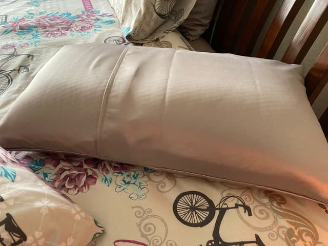 Silk Satin Pillowcases - Gold 2