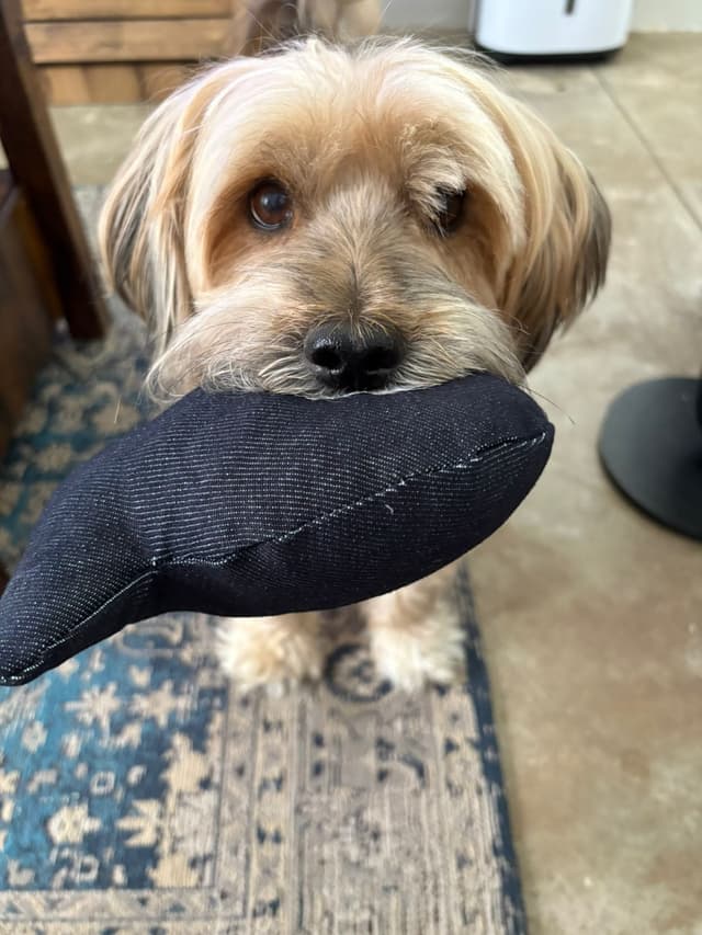 Plush Fish Toy 5